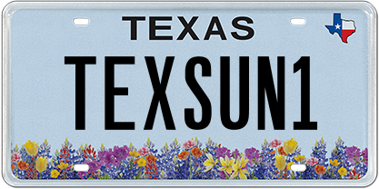 Natural Texas - TEXSUN1